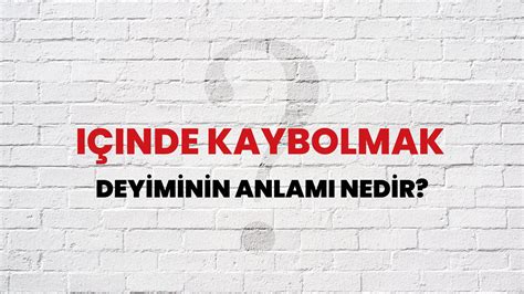  Nnodim: İsteğin İçinde Kaybolmak ve Bilgeliğin Göstergesi