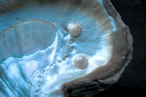  The Celestial Pearl: How did a magical pearl change a fisherman's life forever?